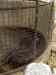 HPIM2228.JPG - 2007:05:23 04:17:26