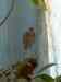 HPIM2238.JPG - 2007:05:23 04:24:15