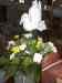 HPIM2366.JPG - 2007:05:25 16:43:40