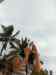 HPIM2457.JPG - 2007:05:27 17:27:16