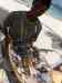 HPIM2477.JPG - 2007:05:28 09:58:11