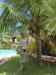 HPIM2485.JPG - 2007:05:28 10:17:34