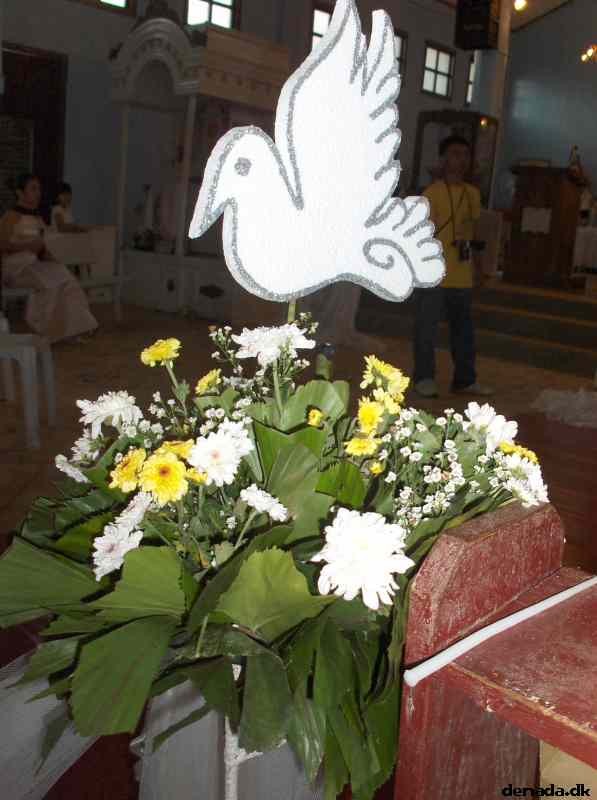 * Image 281