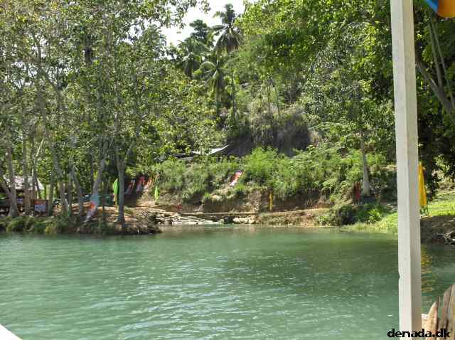 * Image 81