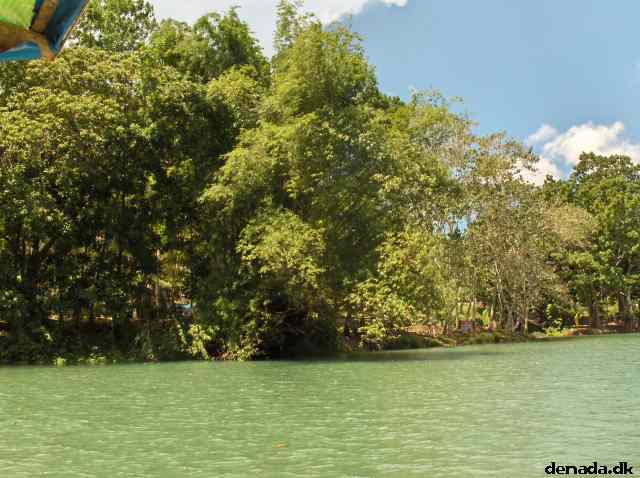 * Image 113