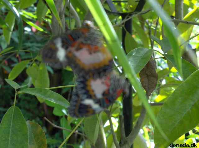 * Image 132