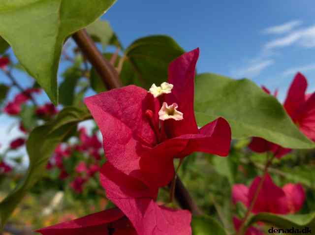 * Image 151