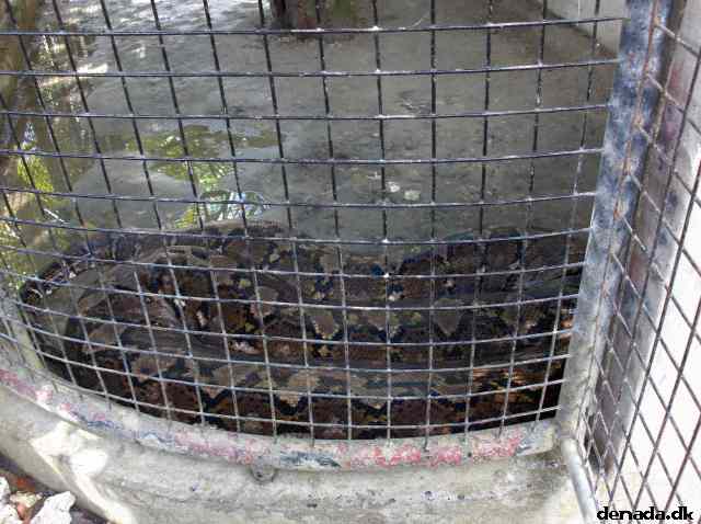 * Image 169