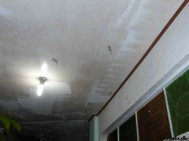 * Image 207