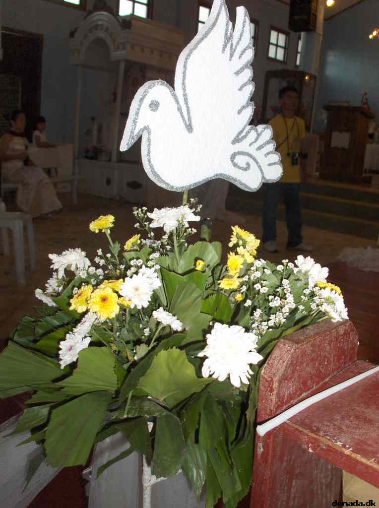 * Image 281