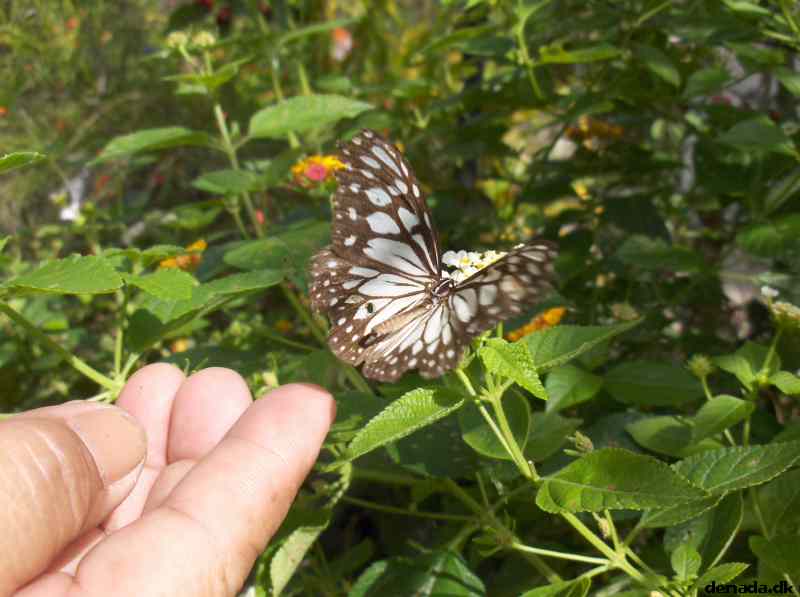 * Image 122