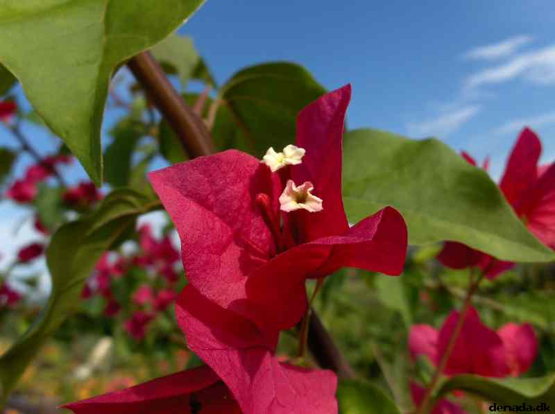 * Image 151