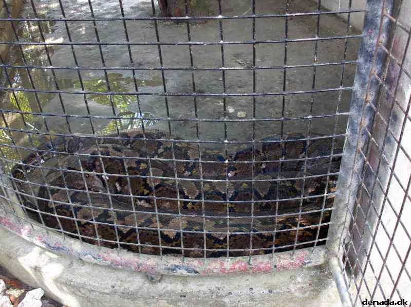 * Image 169