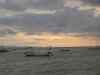 DSC00636.JPG - 2007:05:28 10:19:40