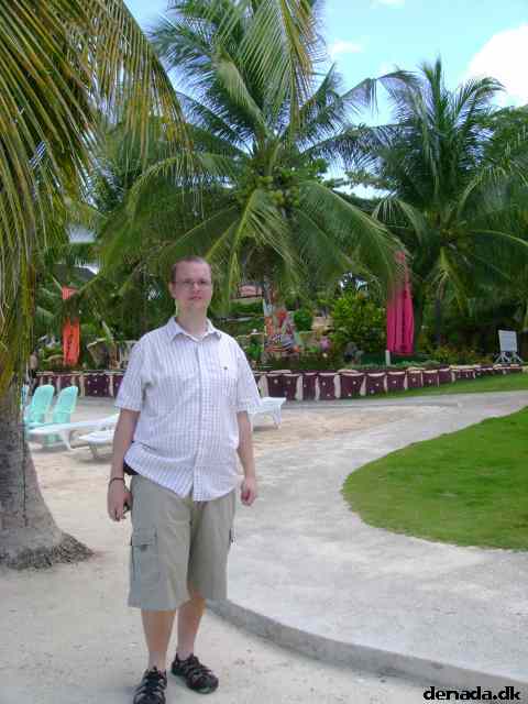 * Image 25