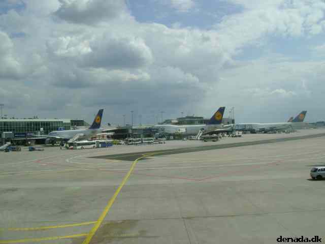 * Image 63