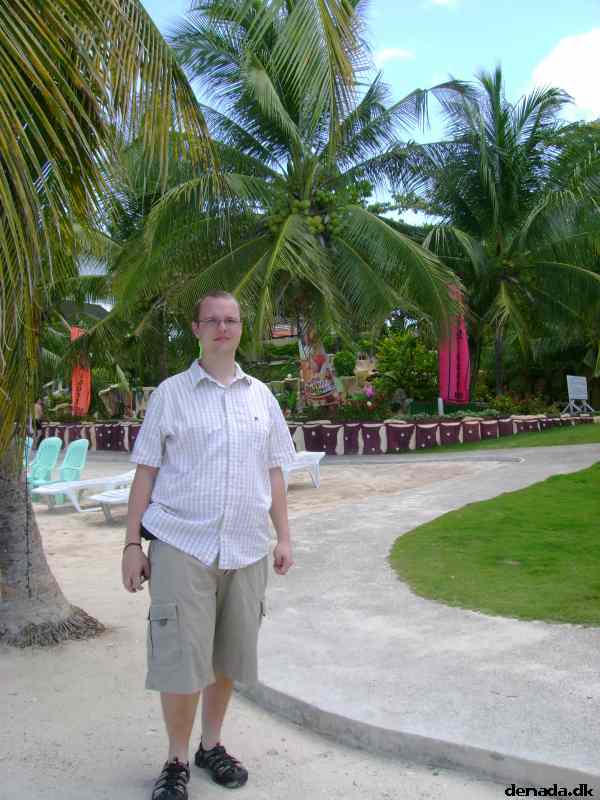 * Image 25