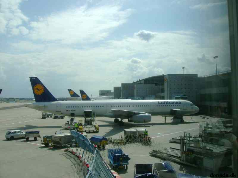 * Image 64