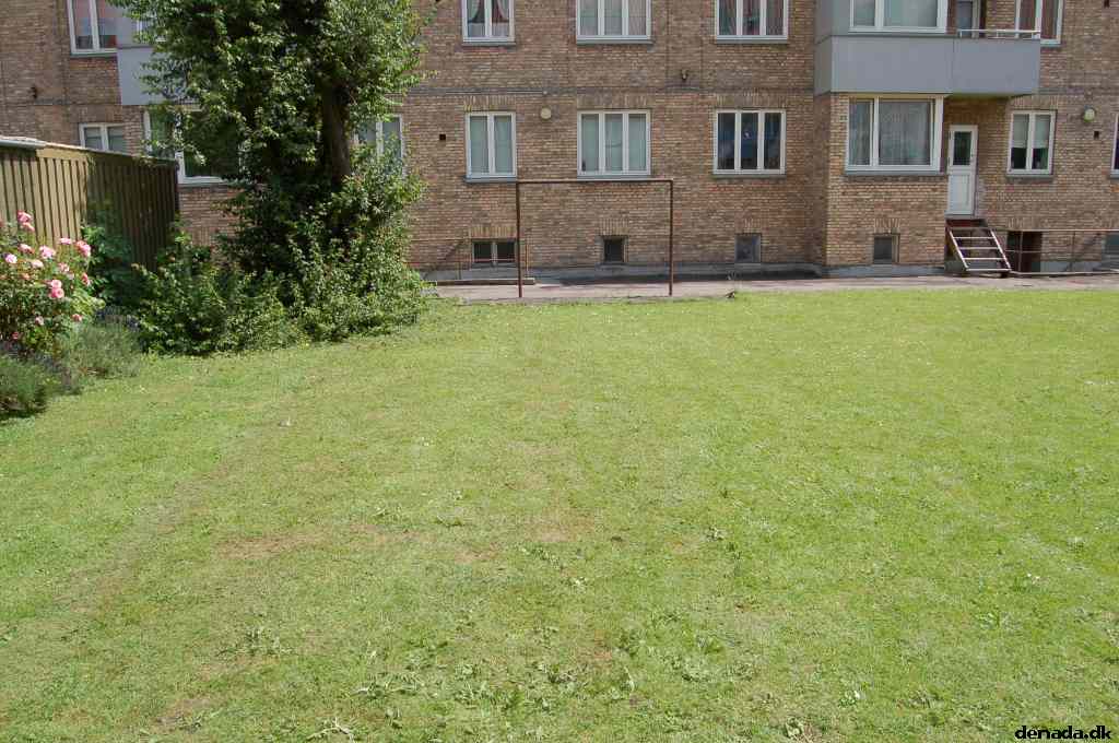 * Image 95