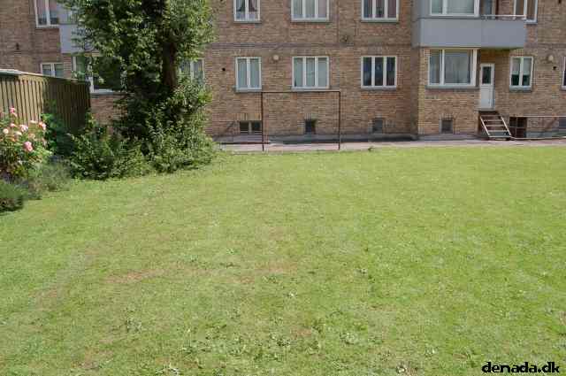 * Image 95