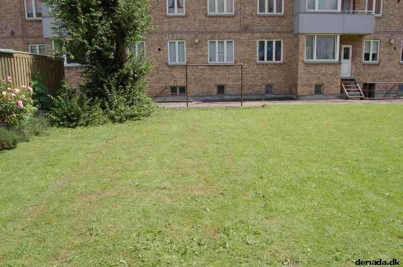 * Image 95