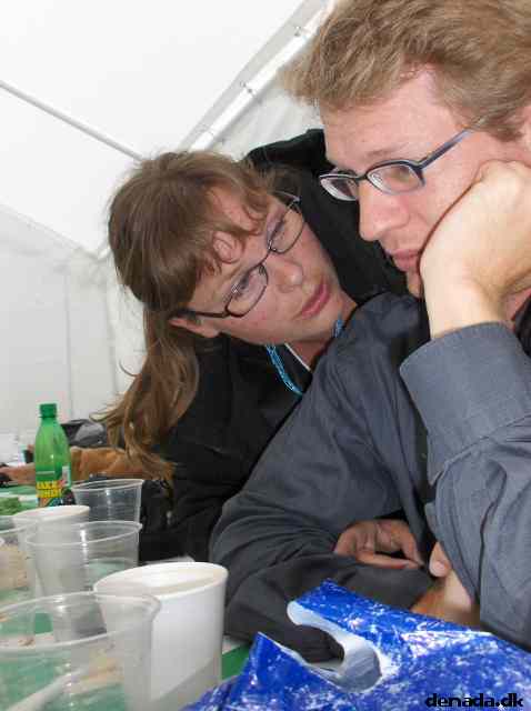 * Image 32