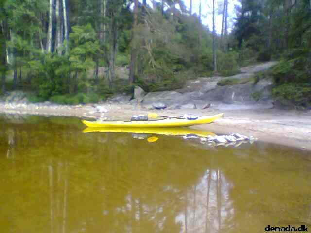 * Image 4