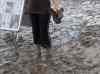 HPIM2668.JPG - 2007:07:04 11:15:54