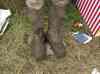 HPIM2692.JPG - 2007:07:04 14:19:06