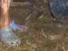 HPIM2724.JPG - 2007:07:05 14:59:14