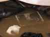 HPIM2776.JPG - 2007:07:08 11:49:21