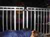 HPIM2778.JPG - 2007:07:08 12:40:59