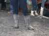 HPIM2801.JPG - 2007:07:08 16:01:37