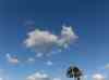 HPIM2819.JPG - 2007:07:08 19:50:35