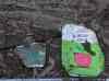 HPIM2824.JPG - 2007:07:08 19:51:59