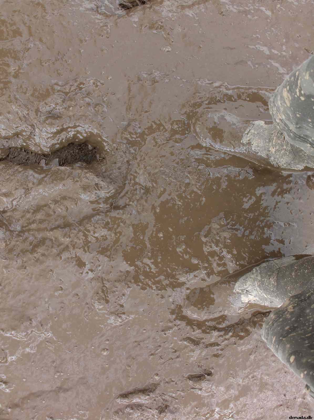 * Image 3