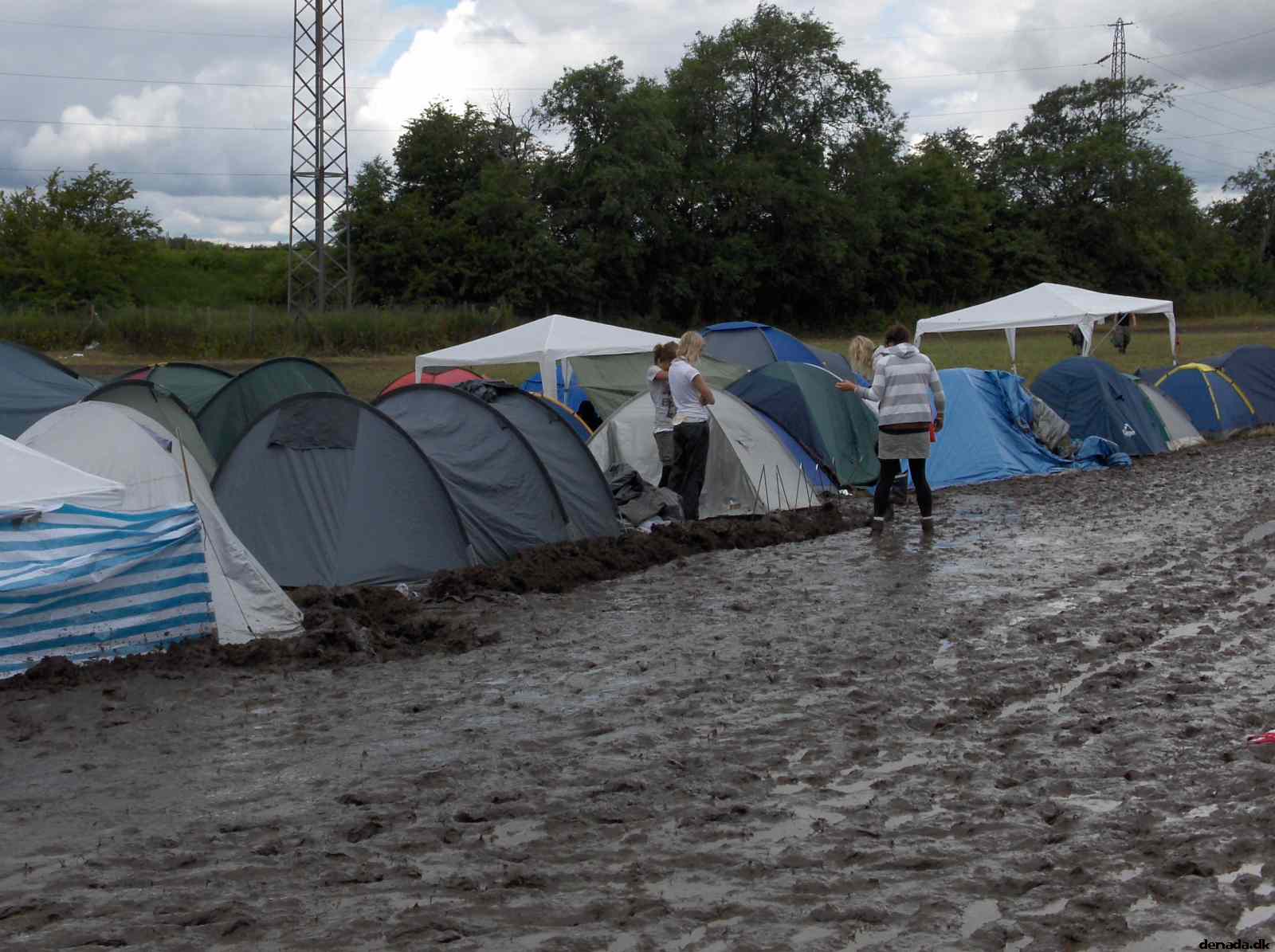 * Image 22