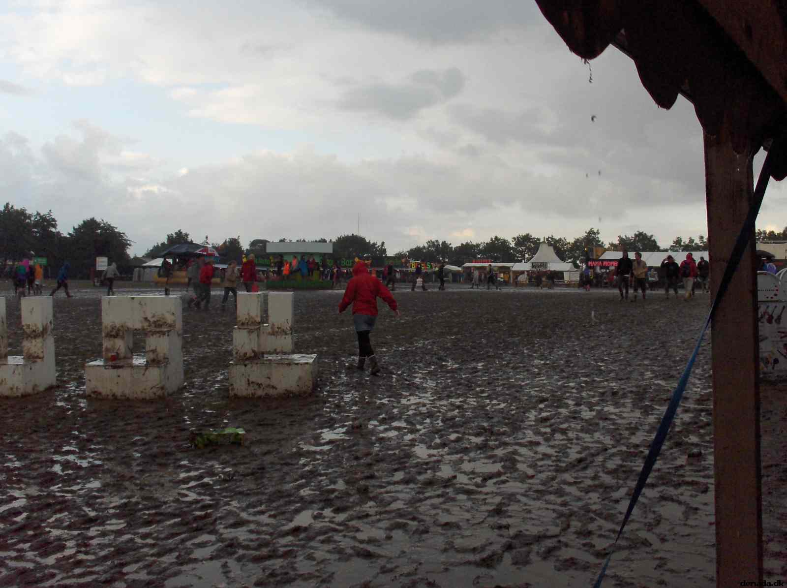 * Image 45