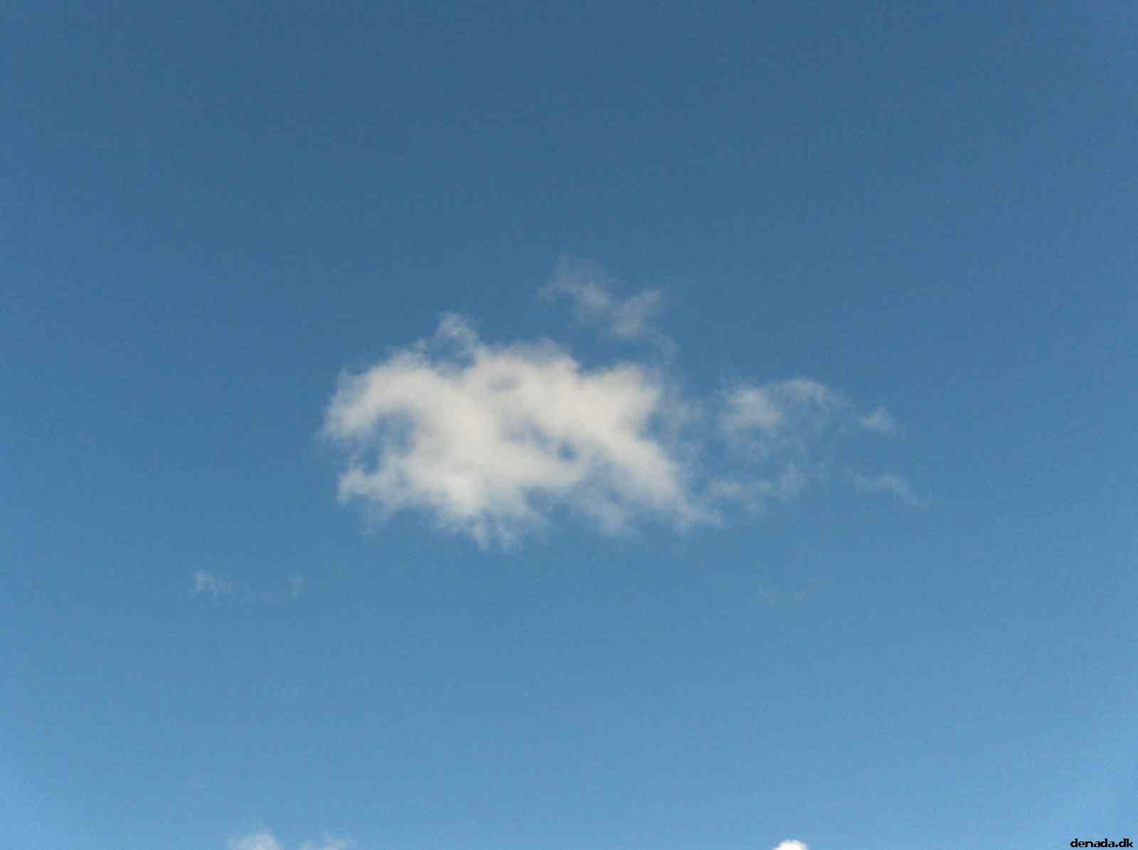 * Image 130