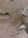 HPIM2654.JPG - 2007:07:04 10:57:14