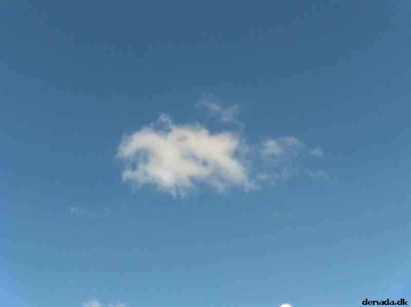 * Image 130
