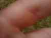 DSC00039.JPG - 2007:07:04 10:13:25