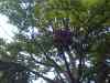 DSC00126.JPG - 2007:07:06 21:26:20