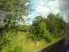 DSC00285.JPG - 2007:07:09 10:07:23