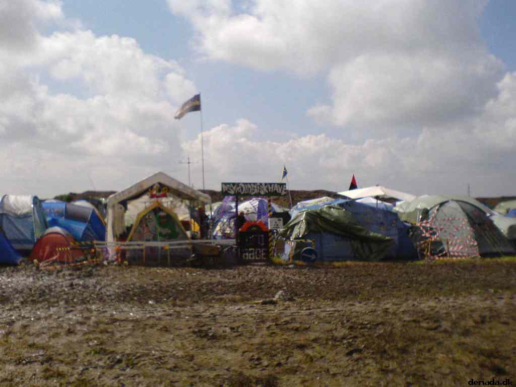 * Image 12