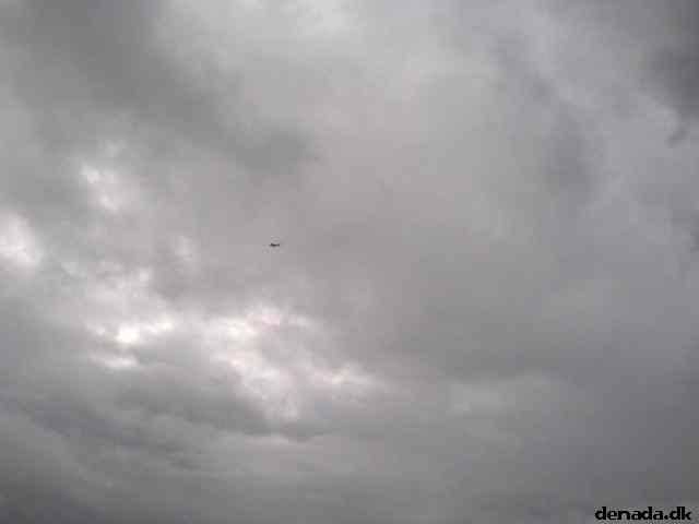 * Image 38