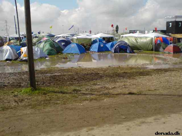 * Image 11