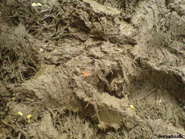 * Image 145