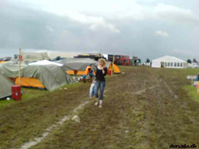 * Image 31