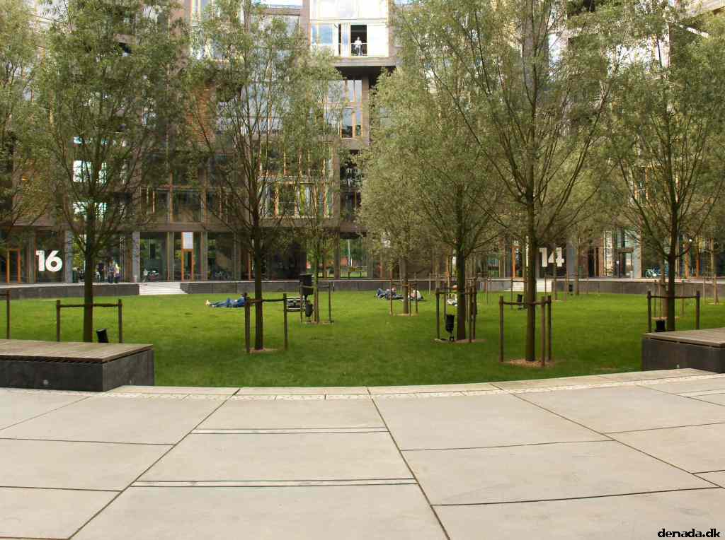 * Image 6